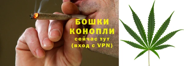 мескалин Богородицк