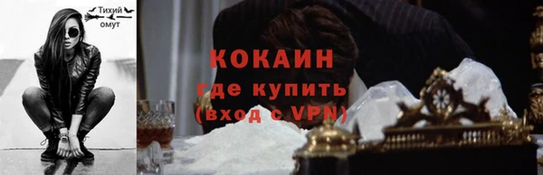 молекула духа Богородск