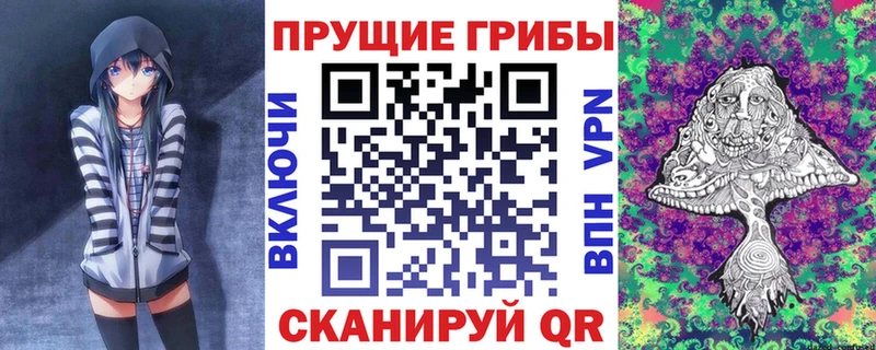 Купить где  Клин  Галлюциногенные грибы GOLDEN TEACHER 